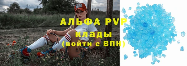 амф Протвино
